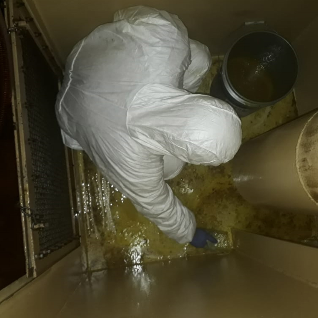 Limpieza de circuitos