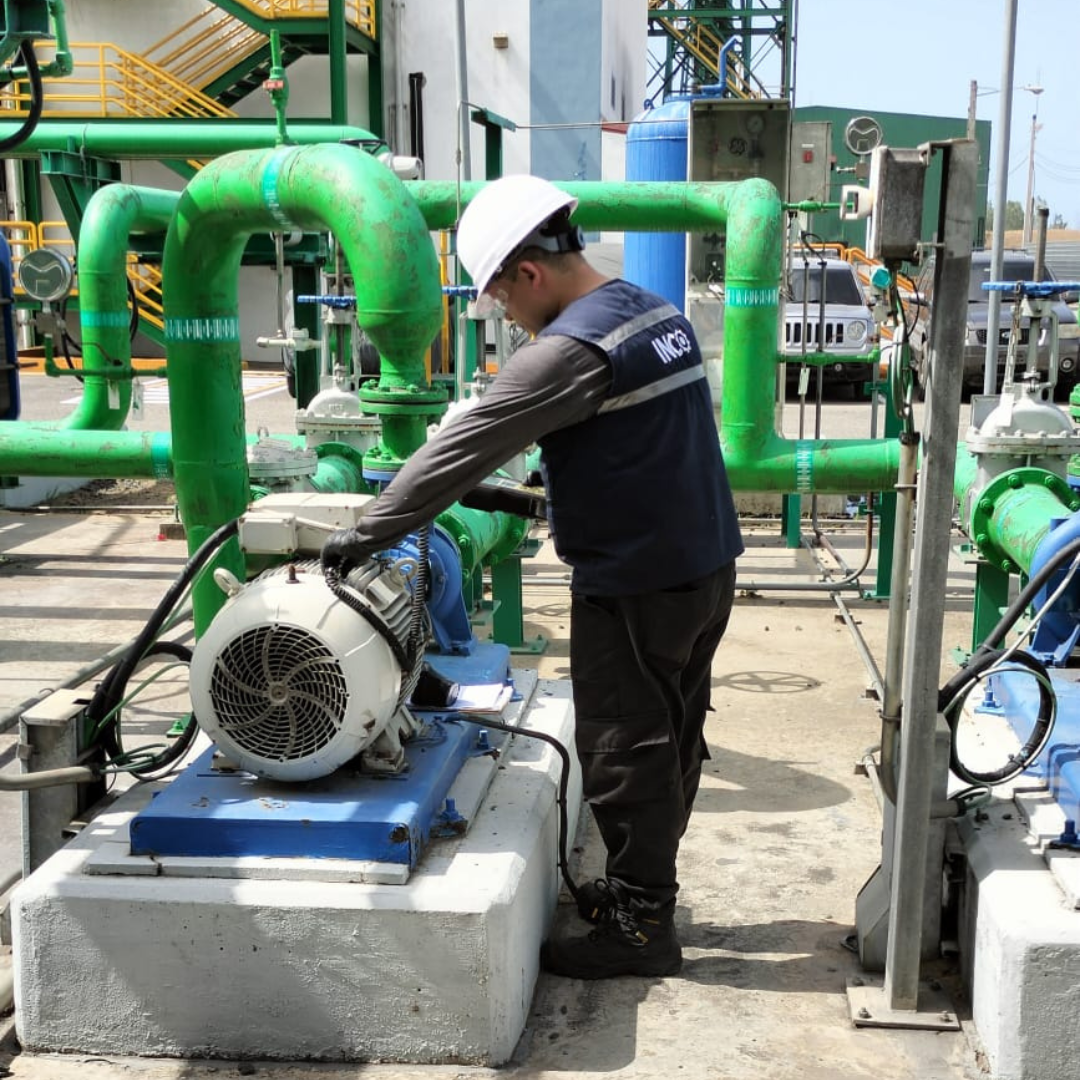 Ruta integral de vibraciones